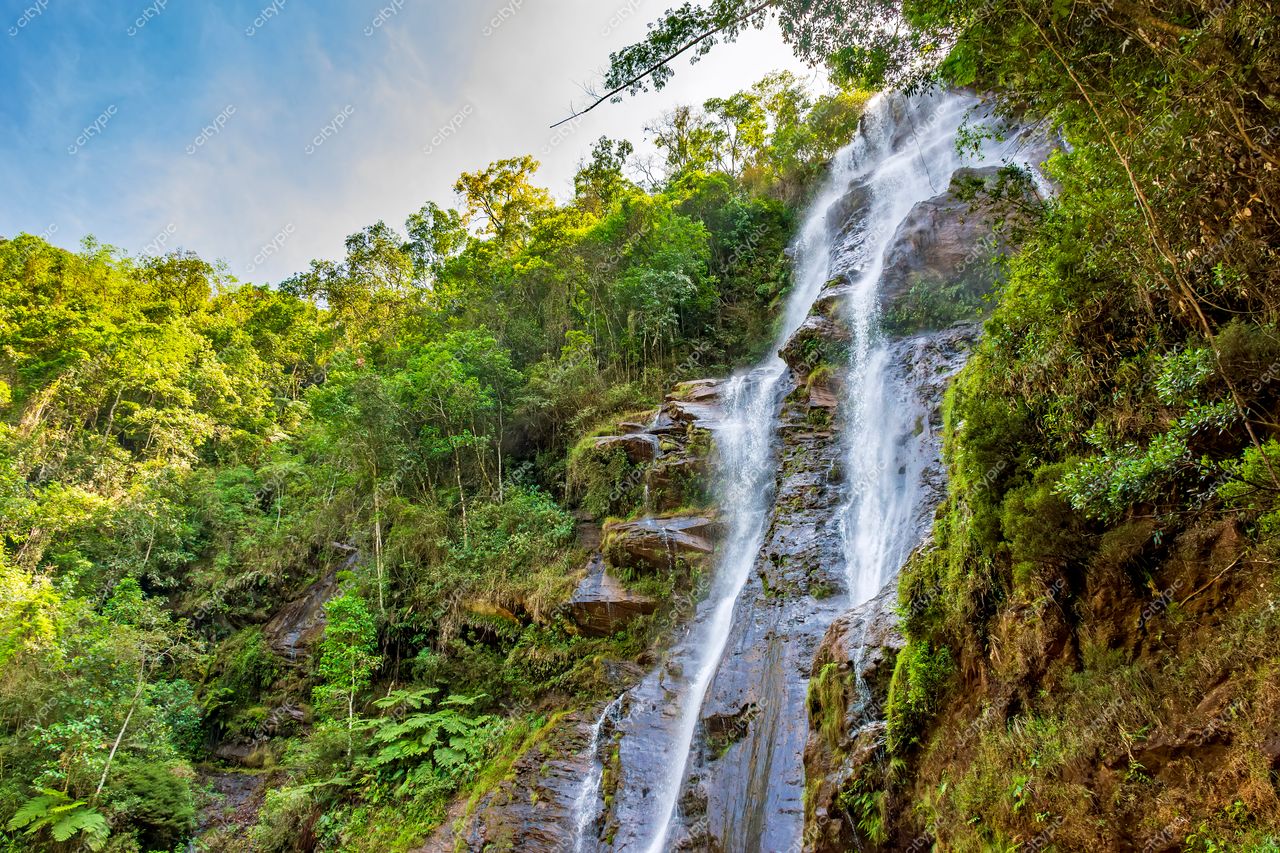 Oásis de Serenidade: A Majestosa Cachoeira na Floresta Tropical
