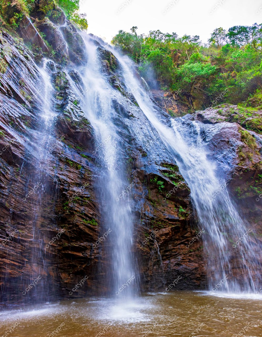 Oásis de Serenidade: A Majestosa Cachoeira em Meio à Natureza Selvagem