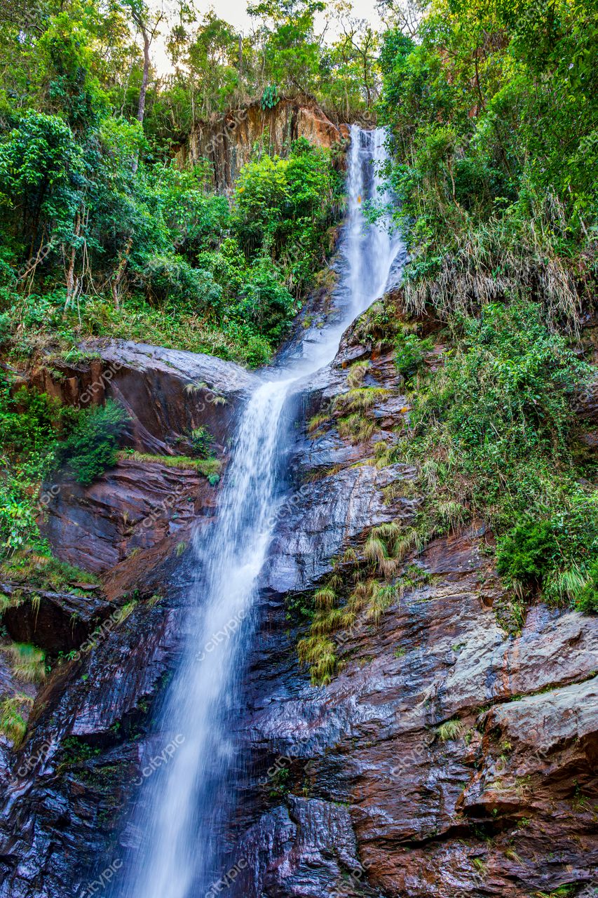Harmonia Natural: A Beleza da Cascata entre a Vegetação Exuberante