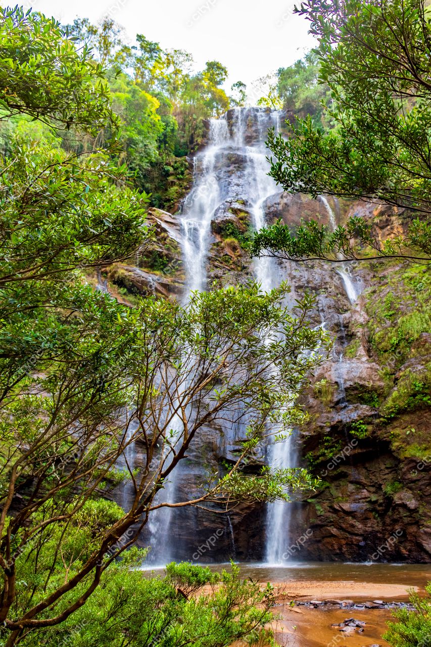 O espetáculo da natureza: a majestosa cachoeira em meio à exuberante vegetação