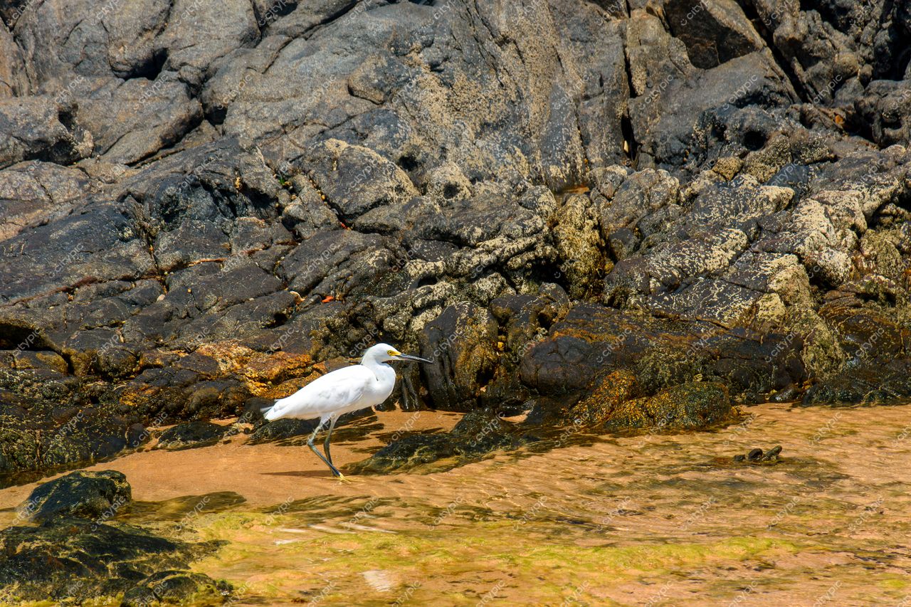 Itapuã, Salvador: A elegância da natureza em harmonia na costa baiana