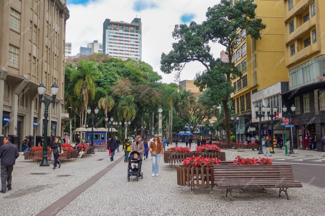 Curitiba, Paraná: Rua animada entre árvores exuberantes e canteiros floridos