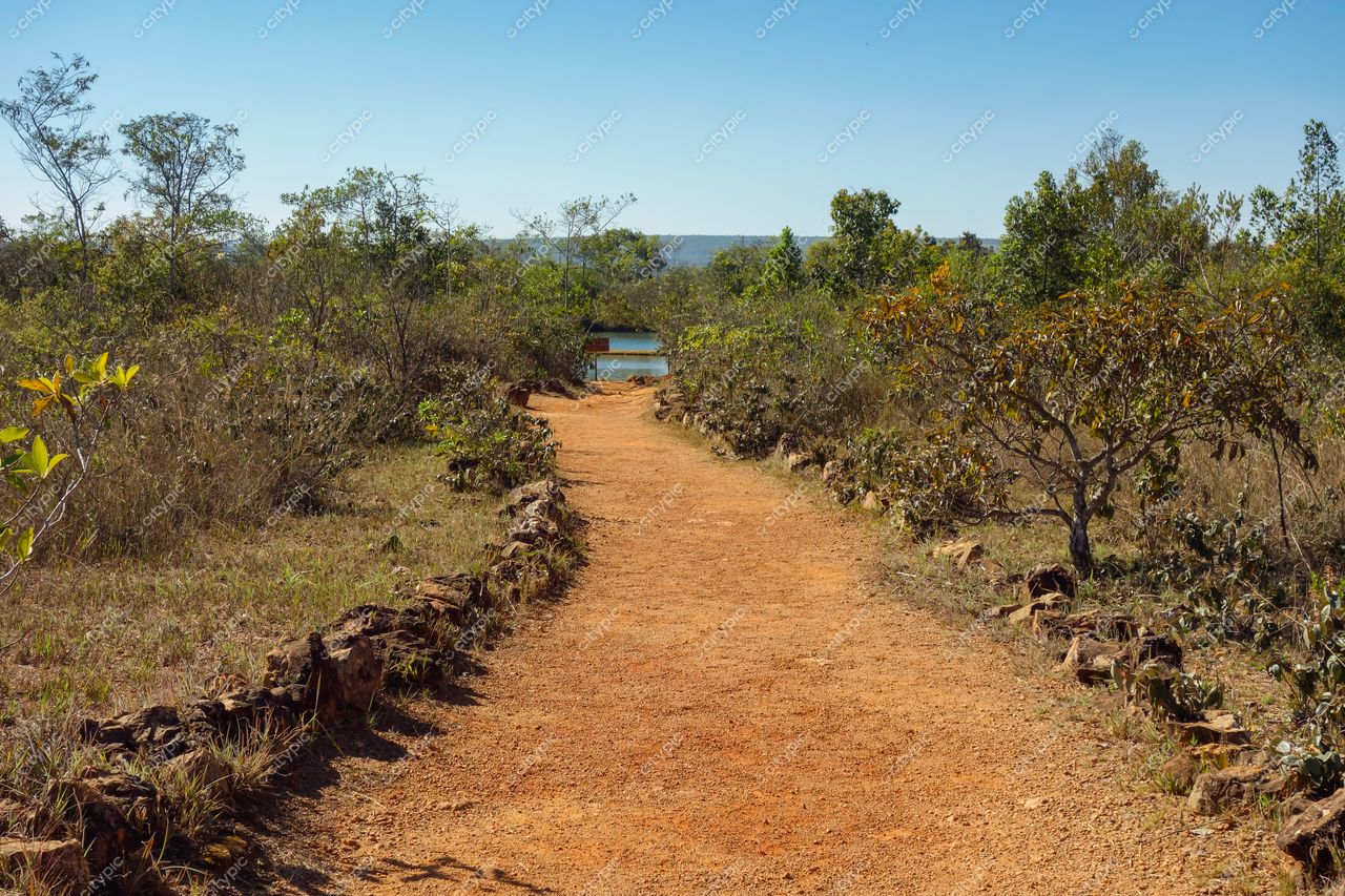 Brasília, DF: Caminho de terra batida em meio à natureza selvagem e serena