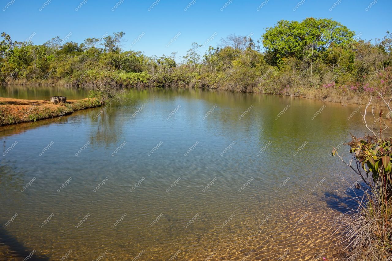 Brasília, DF: Reflexos da natureza em um lago sereno