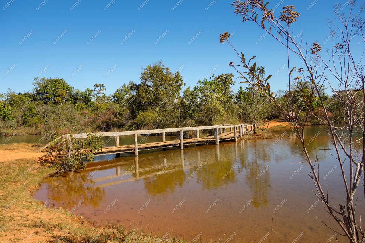 Brasília, DF: Ponte de madeira sobre águas calmas e vegetação nativa