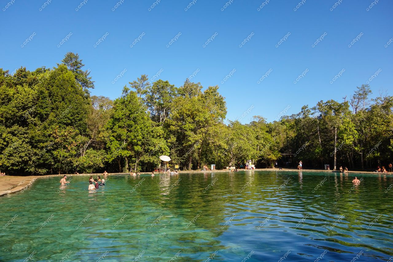Brasília, DF: Piscina Natural em meio à exuberante vegetação – um refúgio tropical na capital do Brasil
