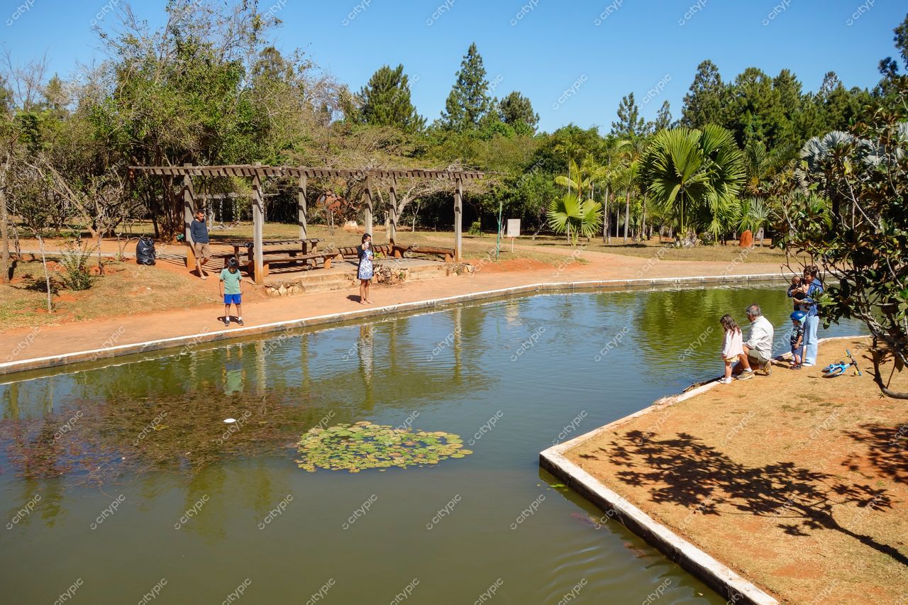 Brasília, DF: Lago tranquilo e relaxante em meio à natureza exuberante
