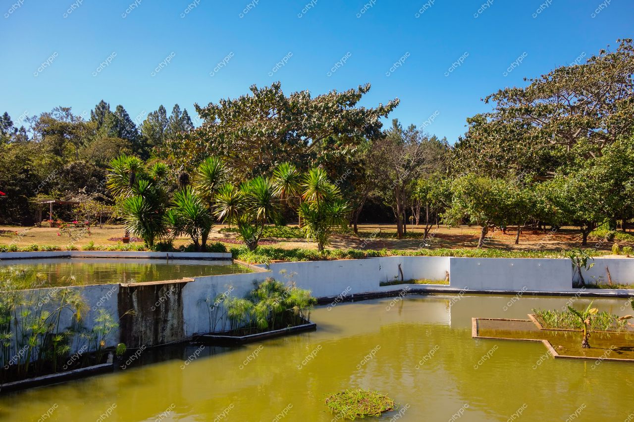 Brasília, Distrito Federal, Brasil: Oásis de tranquilidade em meio à cidade