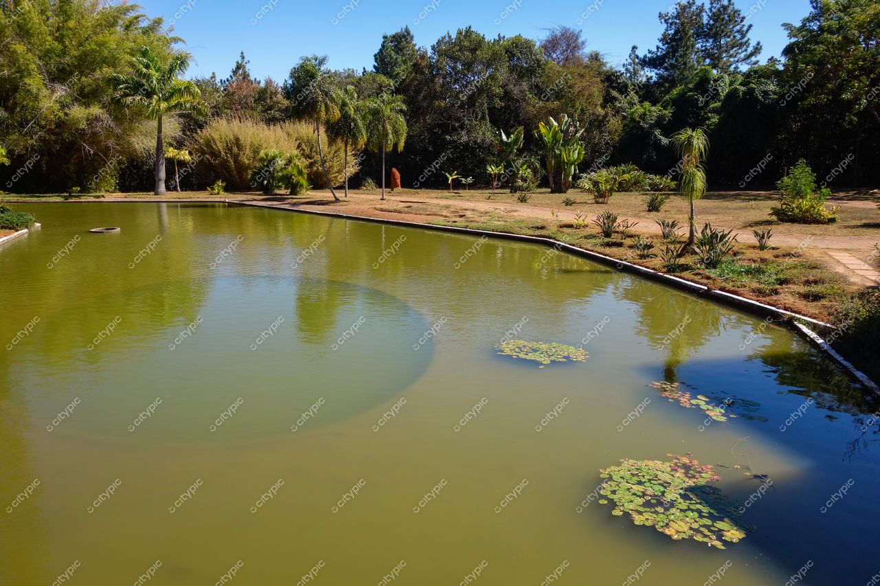 Brasília, DF: Lago sereno no parque, conexão com a natureza e tranquilidade