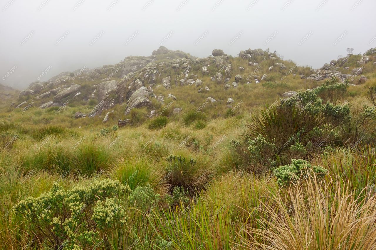 Itatiaia, Rio de Janeiro: Mistério e Serenidade nas Montanhas