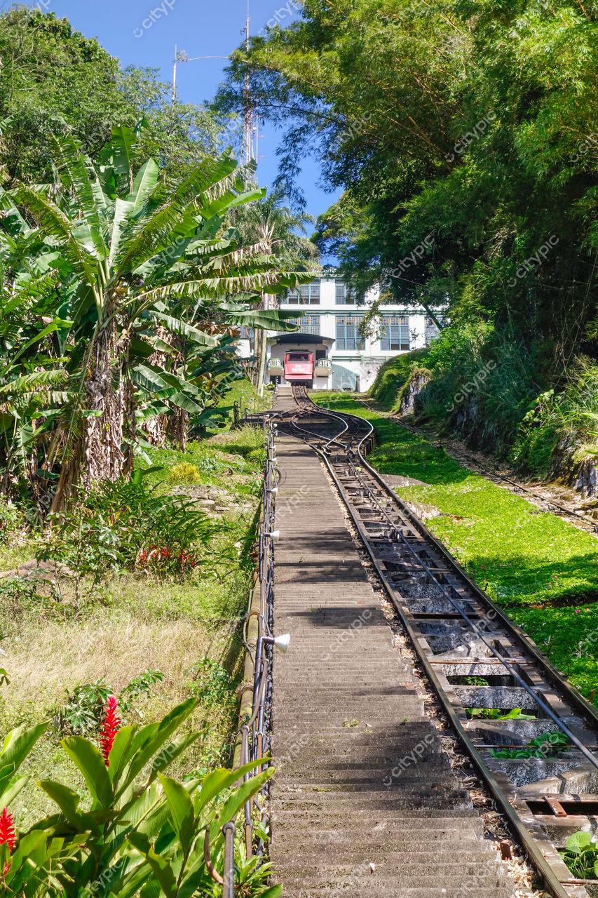Santos, São Paulo: Caminho de Ferro entre a Natureza Tropical