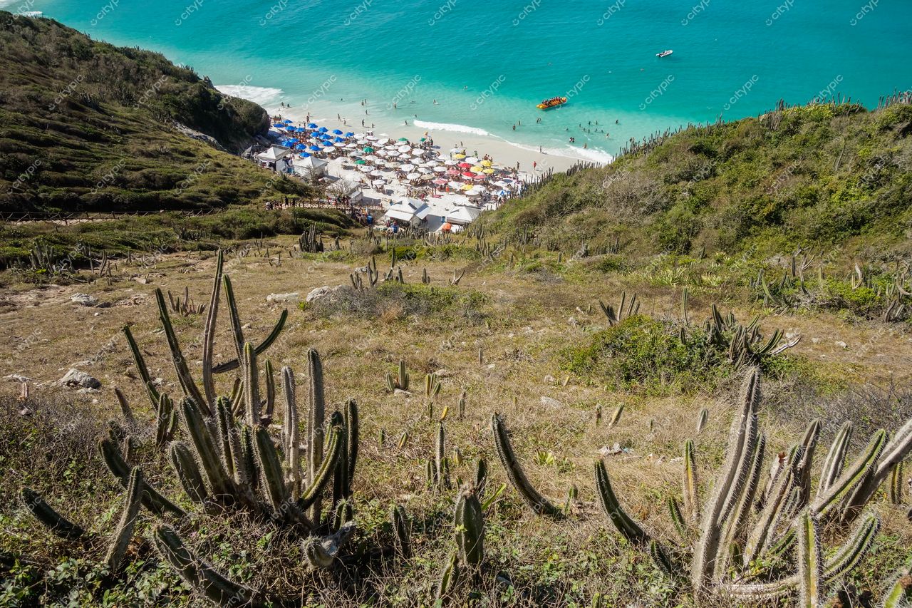 Arraial do Cabo: A harmonia entre a flora e a exuberância da costa brasileira
