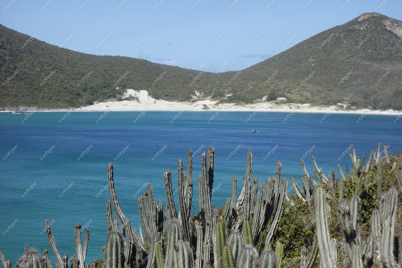 Arraial do Cabo, Rio de Janeiro: Cactos, água azul-turquesa e barco navegando em cena deslumbrante