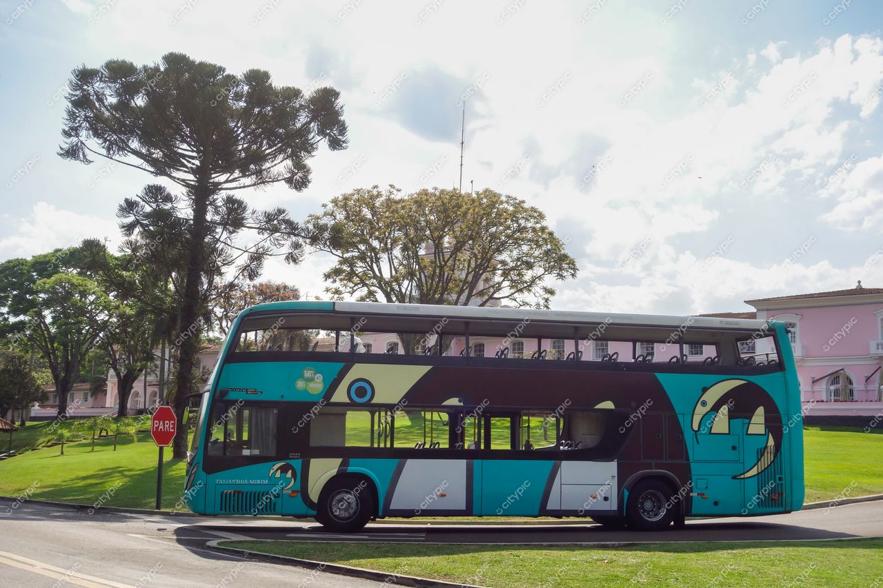 Foz do Iguaçu: Ônibus Estilizado em Meio à Natureza e Modernidade