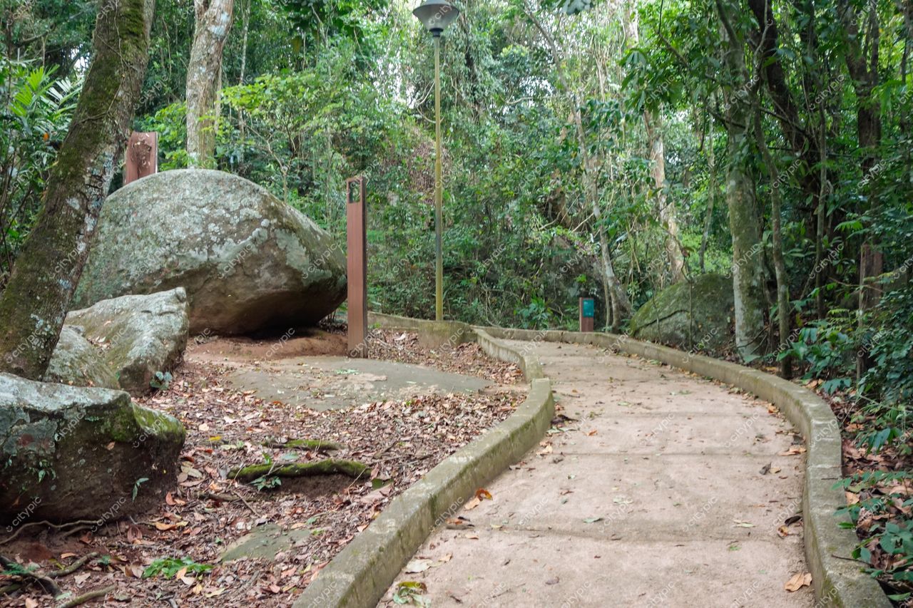 Vitória, Espírito Santo: Trilha sinuosa em meio à exuberante vegetação da cidade