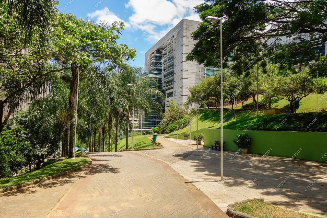 Vitória, Espírito Santo: Trilha pavimentada entre palmeiras e edifícios modernos