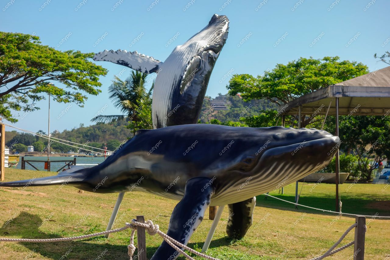 Vitória, Espírito Santo, Brasil: Esculturas de baleias em tamanho real em meio à natureza vibrante