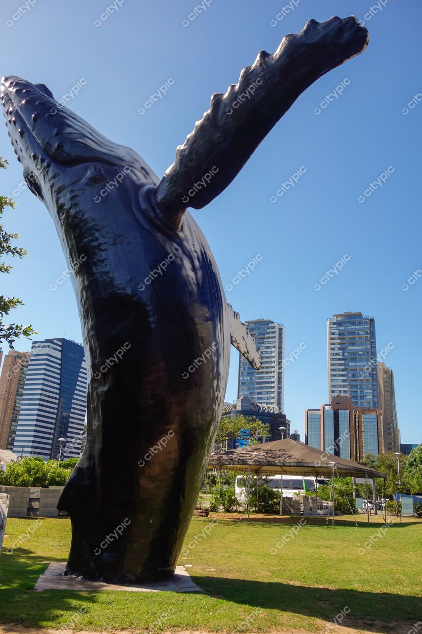 Vitória, Espírito Santo, Brasil: Escultura imponente de baleia em contraste com a paisagem urbana