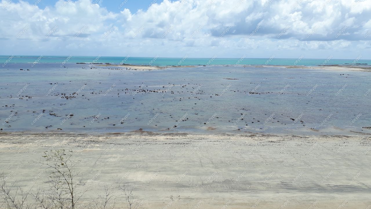 Japaratinga, Alagoas vista panorâmica da praia com águas calmas e vegetação preservada sob céu parcialmente nublado