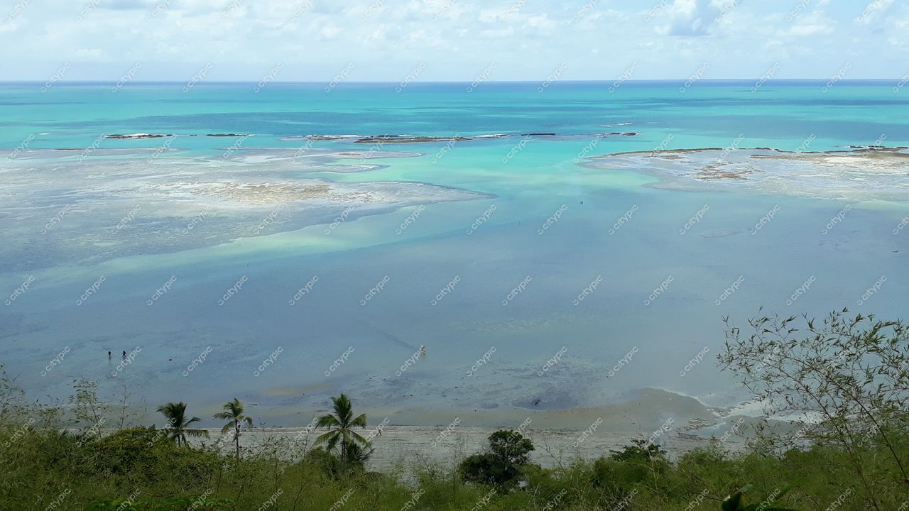 Japaratinga, Alagoas apresenta costa com águas verdes e azuis, vegetação esparsa e céu claro em dia ensolarado