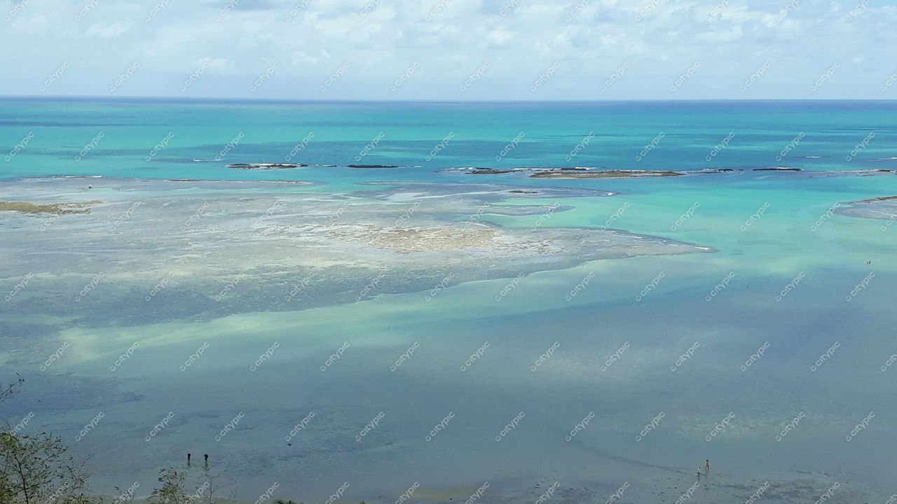 Japaratinga, Alagoas vista panorâmica do litoral com águas cristalinas e recifes visíveis na maré baixa