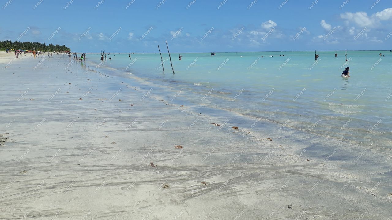 Maragogi, Alagoas com areia clara e fina, mar azul e verde, palmeiras ao fundo em dia ensolarado