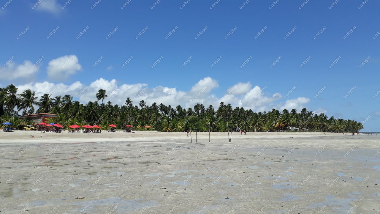 Maragogi, Alagoas com praia de areia clara, céu azul e palmeiras ao fundo em ambiente tranquilo e sem tráfego