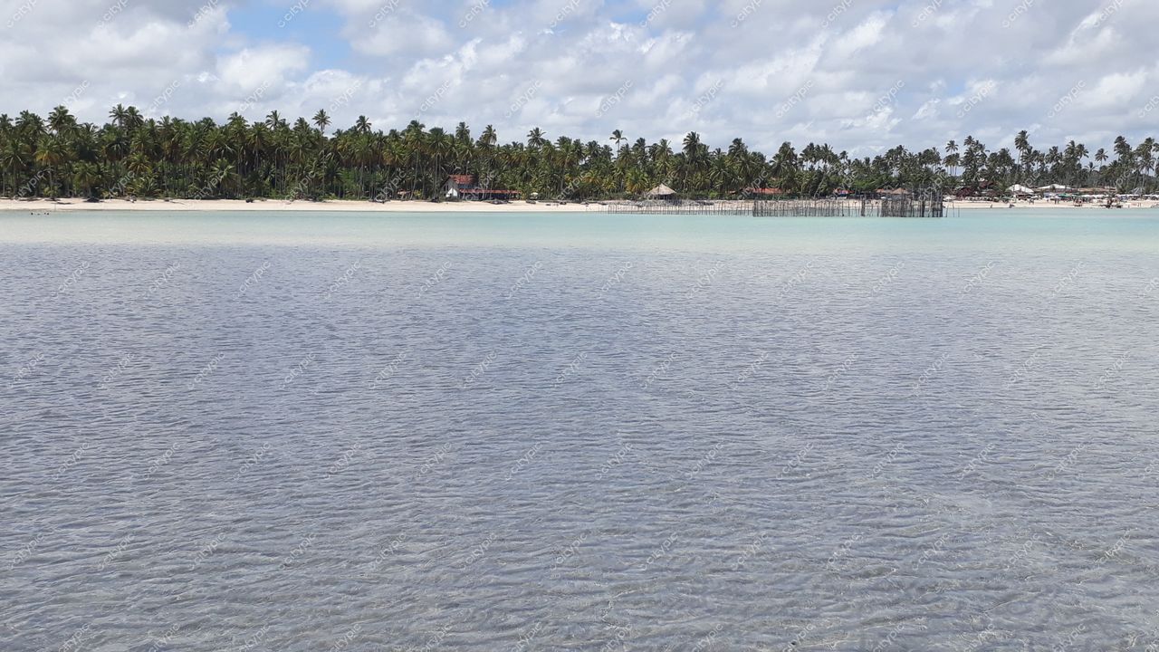 Maragogi, Alagoas, praia tranquila com águas rasas, palmeiras ao fundo e estrutura de madeira na água