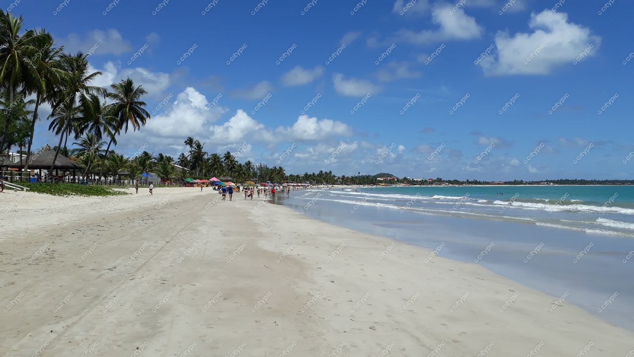 Tamandaré, Pernambuco, praia ampla com areia clara, céu azul e nuvens brancas, quiosques e palmeiras ao fundo