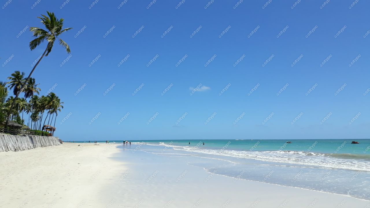 Tamandaré, Pernambuco em dia ensolarado com céu azul e faixa de areia clara, coqueiros e barcos ancorados