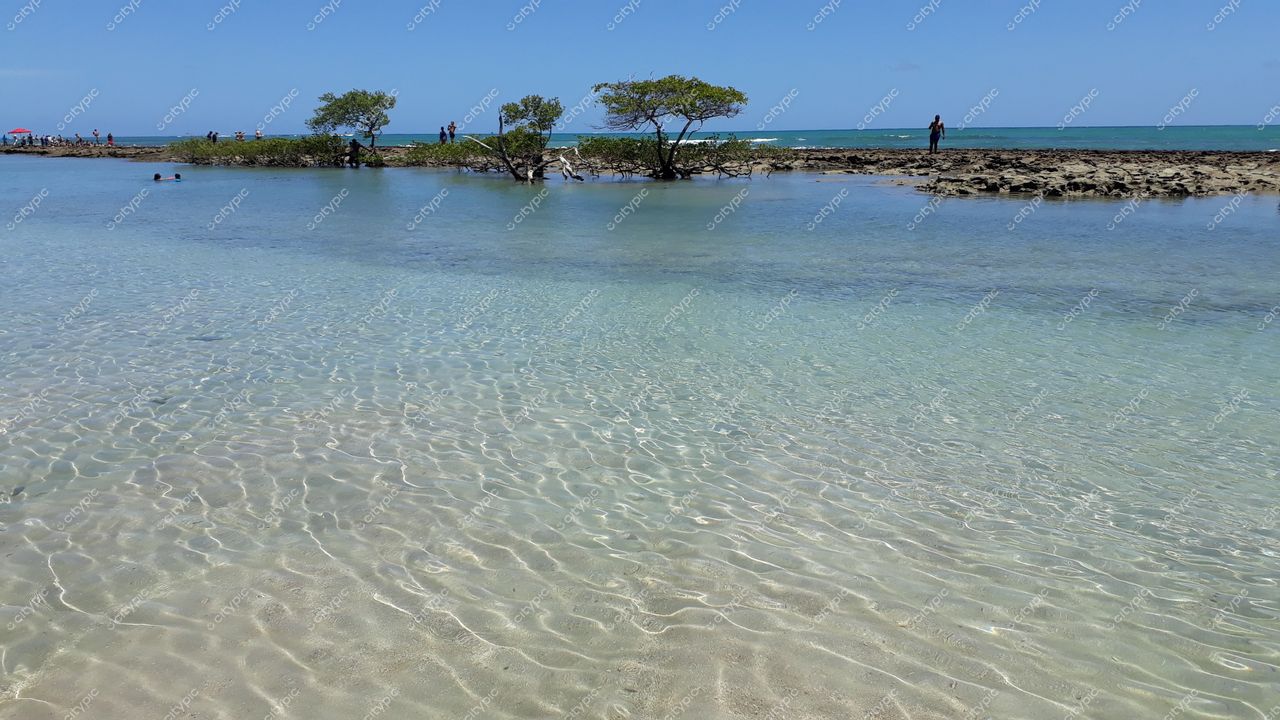 Tamandaré, Pernambuco vista tranquila da Praia com água cristalina, ilhas verdes ao fundo e céu azul claro