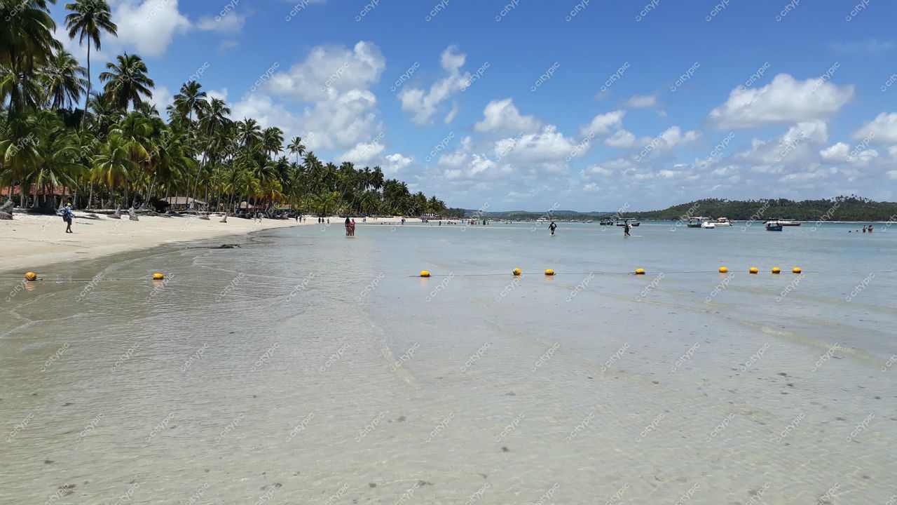 Tamandaré, Pernambuco, praia tranquila com águas claras e rasas, céu azul e palmeiras ao fundo em dia ensolarado