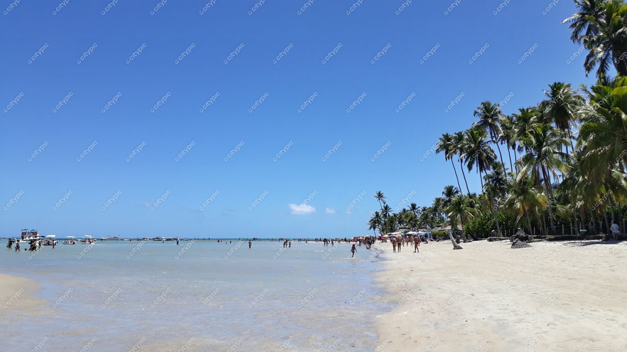 Tamandaré, Pernambuco, praia ensolarada com areia clara, palmeiras e quiosques à beira da água rasinha
