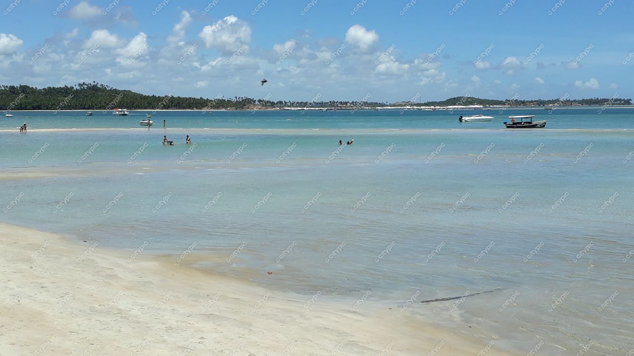 Tamandaré, Pernambuco com águas calmas em tonalidades de azul e verde e vegetação montanhosa ao fundo
