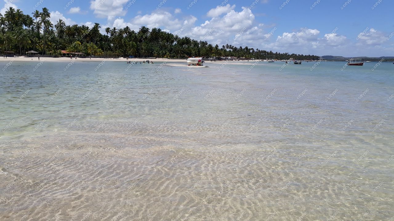 Tamandaré, Pernambuco em dia ensolarado com mar calmo, vegetação nativa e pequenas embarcações ancoradas na praia