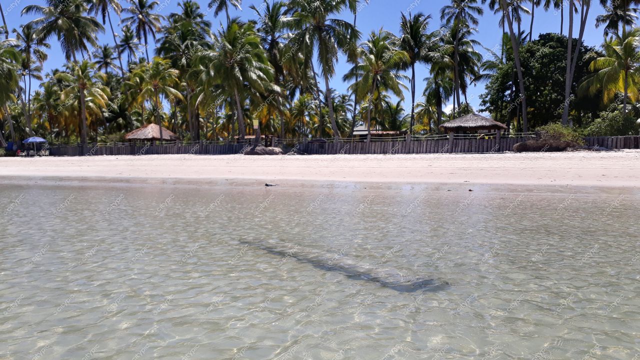 Tamandaré, Pernambuco, praia tranquila com água cristalina, areia branca e quiosques de madeira sob céu azul