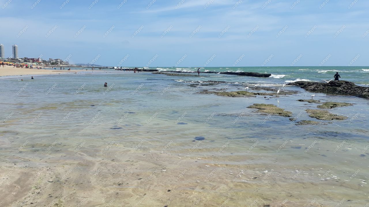 Recife, Pernambuco, praia com águas calmas e rasas refletindo céu azul, formações rochosas e orla movimentada