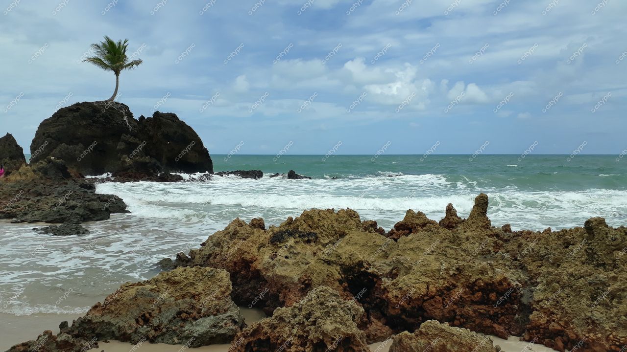 Conde, Paraíba, rochas irregulares na praia com mar de ondas suaves e palmeira sob céu nublado