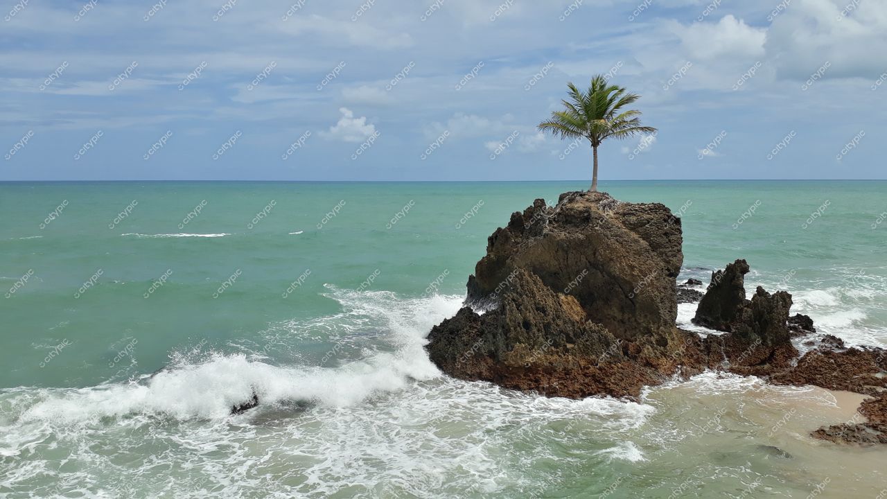 Conde, Paraíba, penhasco rochoso com palmeira solitária e ondas suaves em dia parcialmente nublado