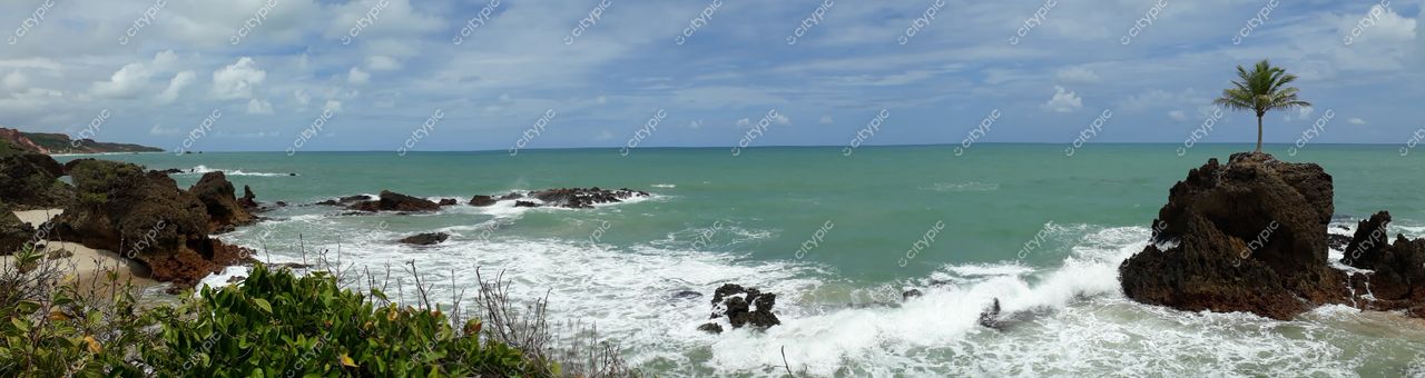 Conde, Paraíba vista panorâmica da praia com rochas escuras e palmeira solitária sob céu parcialmente nublado