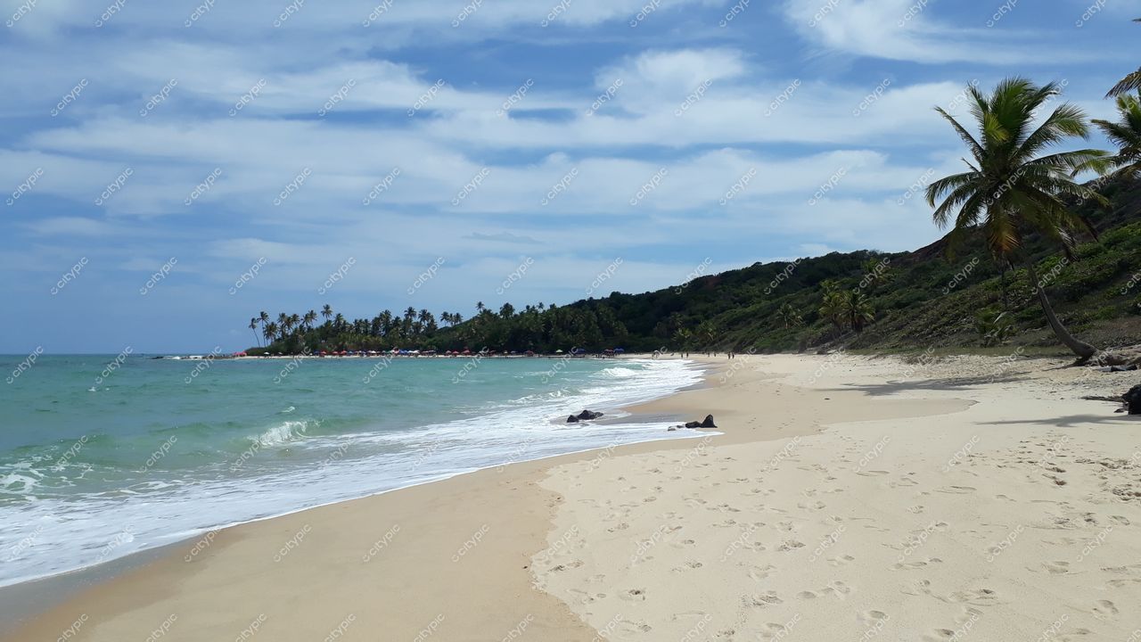 Conde, Paraíba, praia com areia clara e fina, vegetação alta de coqueiros e céu azul claro em dia ensolarado