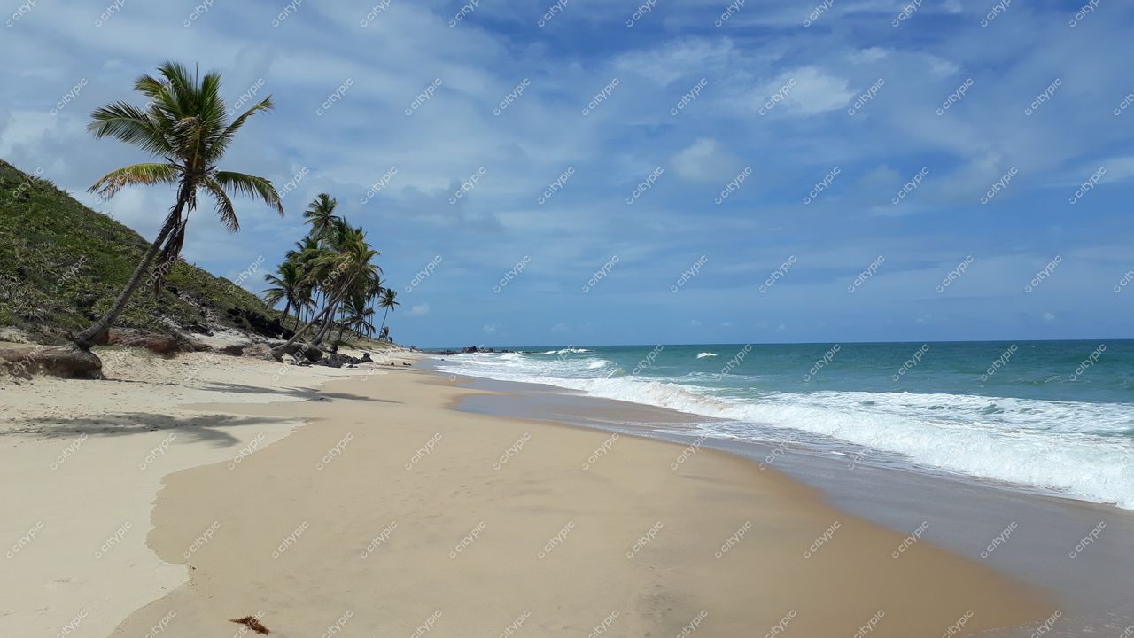 Conde, Paraíba, praia tranquila com areias claras, palmeiras e céu parcialmente nublado em dia ensolarado