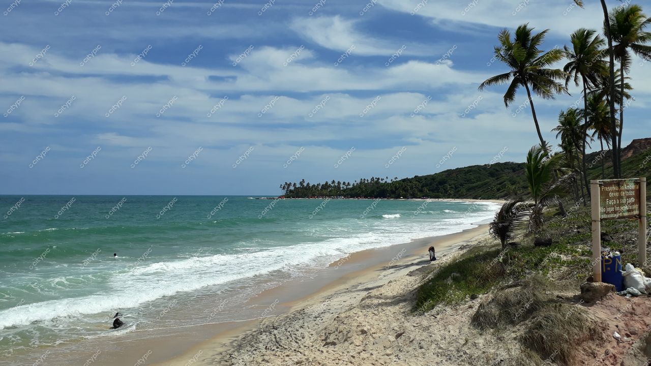Conde, Paraíba, praia tranquila com águas verdes e calmas, palmeiras à beira-mar e céu com nuvens dispersas