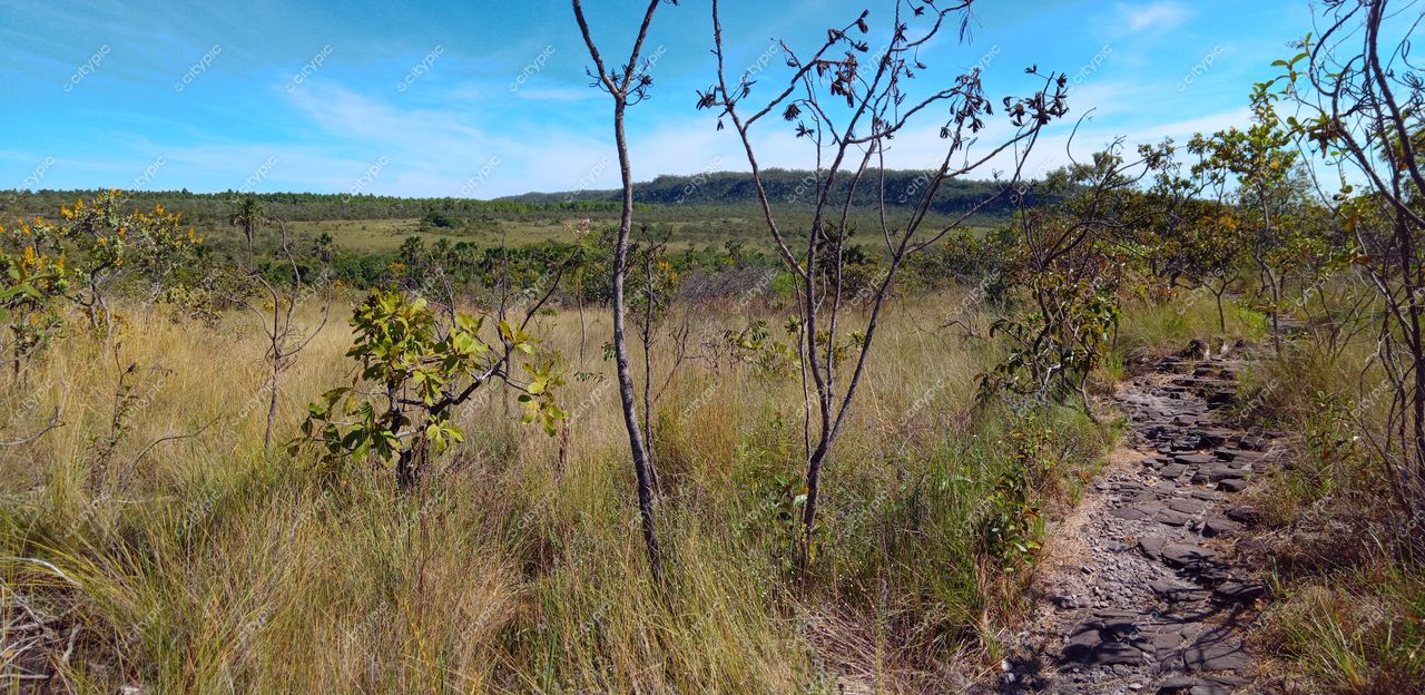 Pirenópolis, Goiás, caminho de pedras em paisagem natural com vegetação baixa sob céu claro e ensolarado