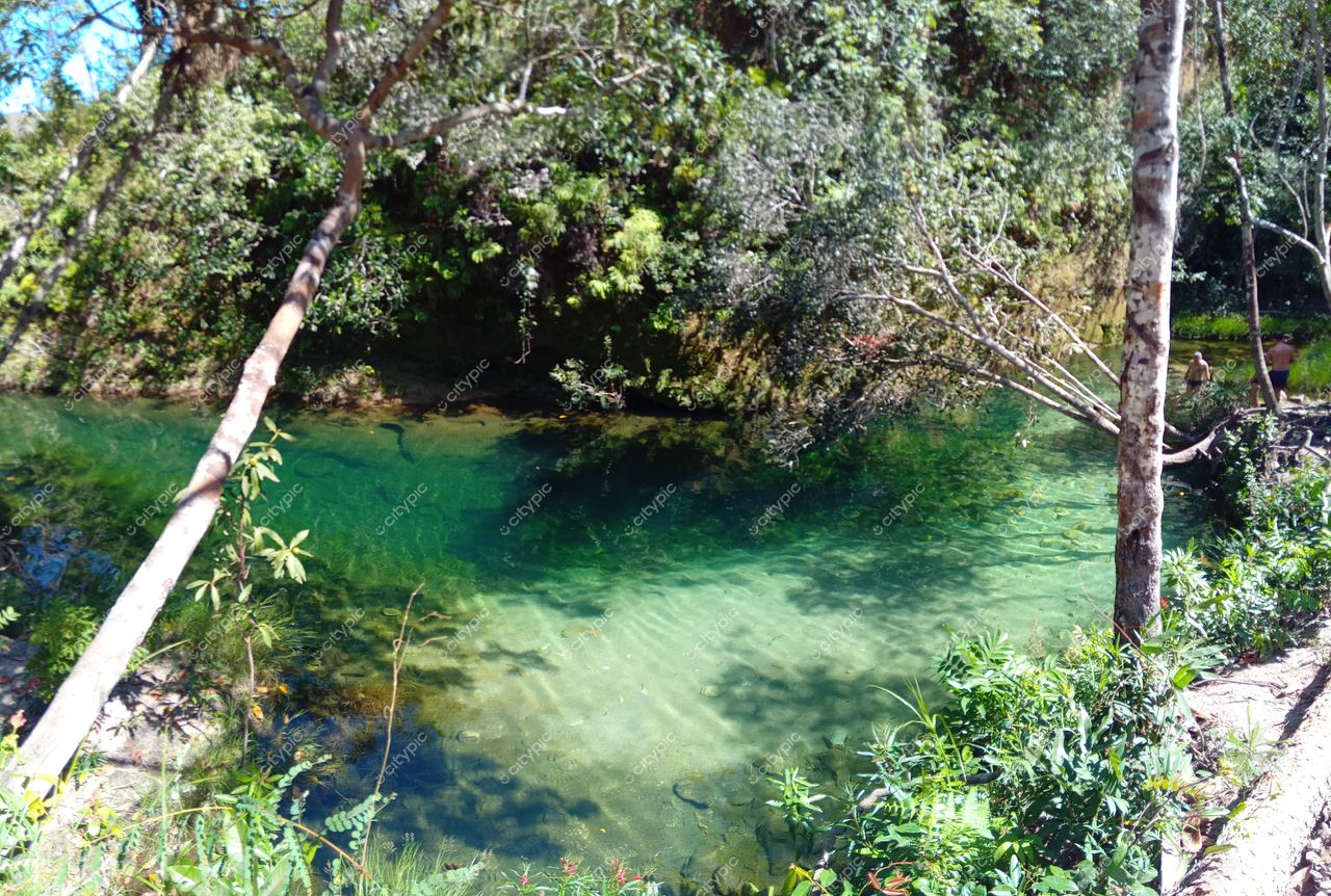 Chapada dos Veadeiros, Goiás piscina natural de água verde-esmeralda cercada por densa vegetação em dia ensolarado