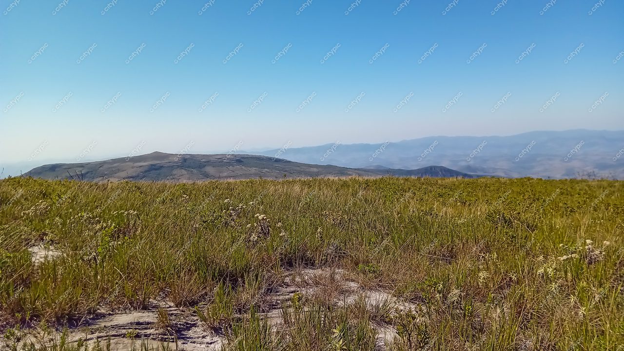 Ibitipoca, Minas Gerais, paisagem montanhosa sob céu azul claro com gramado verde e flores silvestres ao fundo