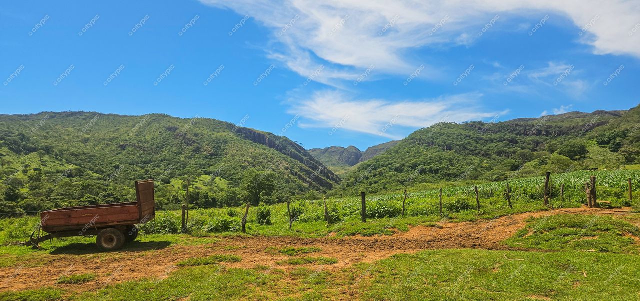 Serra da Canastra, Minas Gerais, charrete de madeira em campo verdejante com colinas e céu azul ao fundo