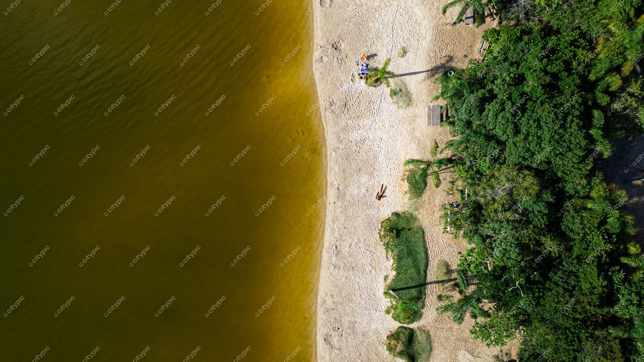 Morro das Pedras e Lagoa do Peri em Florianópolis com vegetação densa e areia clara sob luz ensolarada