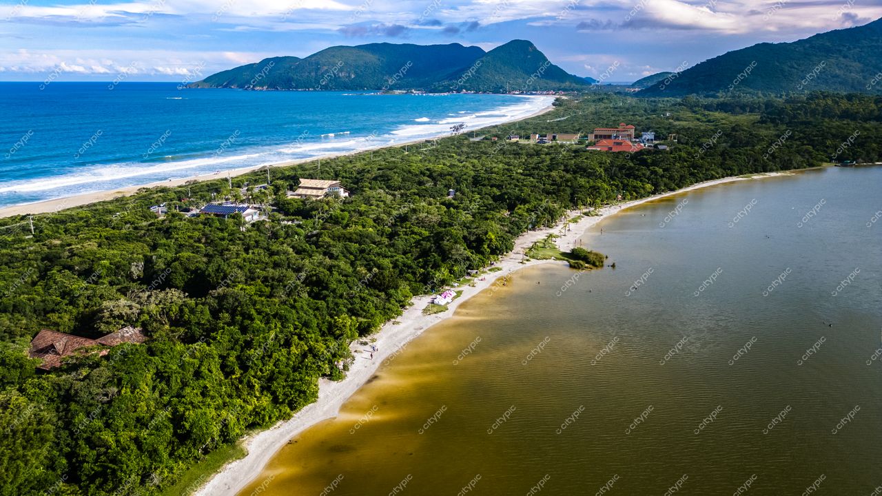 Morro das Pedras e Lagoa do Peri em Florianópolis com vegetação densa e luz solar contrastante sobre a costa