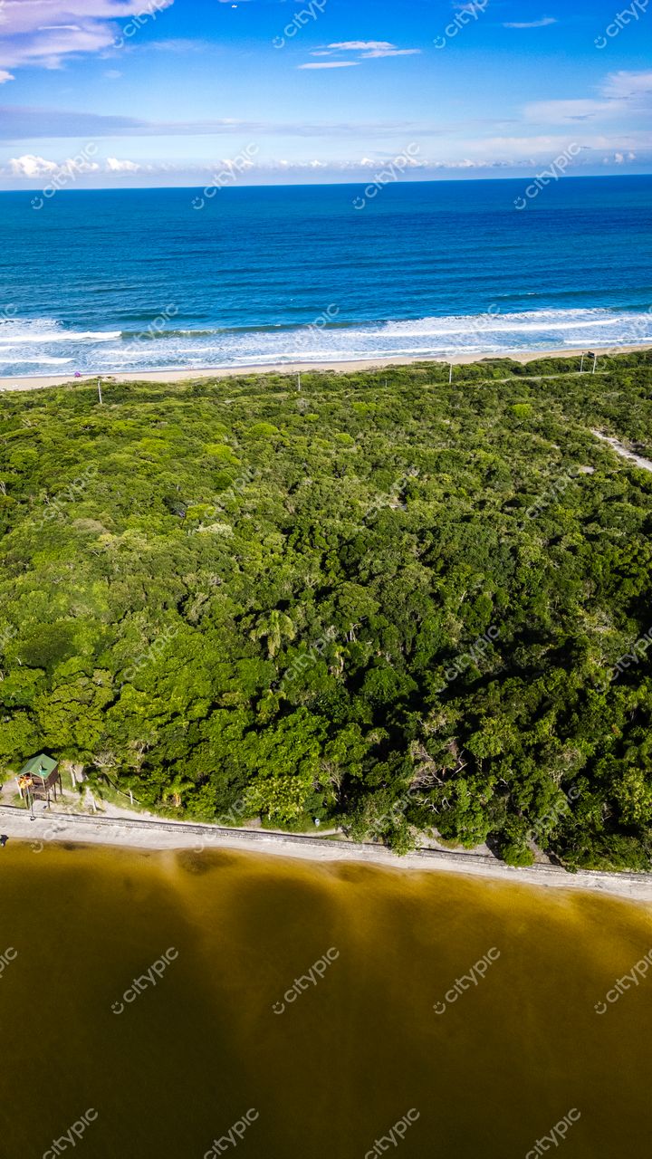 Morro das Pedras e Lagoa do Peri em Florianópolis com vegetação densa e costa de ondas suaves sob céu ensolarado